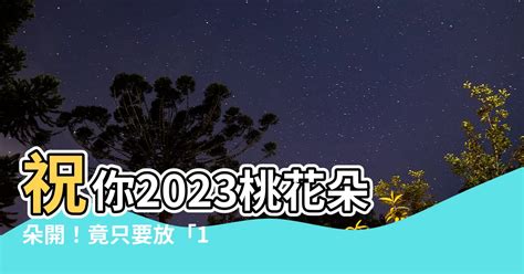 2023桃花位在洗手間|2023兔年風水佈局｜催桃花放「1物件」在西南方＋升 